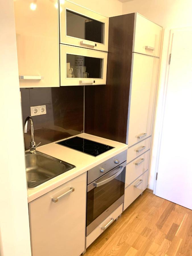 Cozy Flat , Near University , Wifi&Free Parking Регенсбург Екстер'єр фото